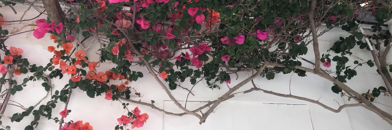 brinaftmendes's profile banner image
