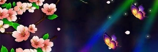 Aflaksh's profile banner image