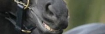 _ahaahaaha's profile banner image