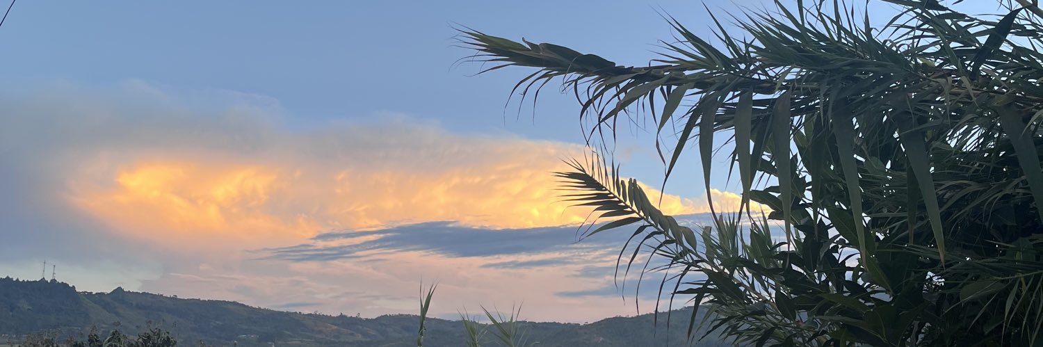 CharlieLeFou's profile banner image