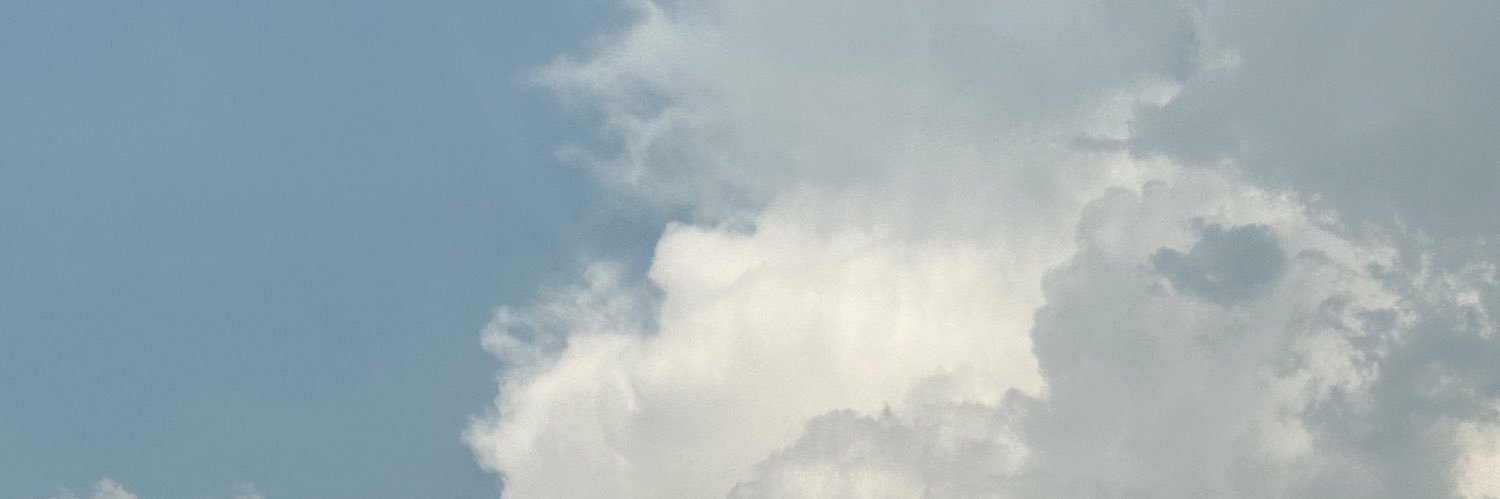 JL_133132's profile banner image