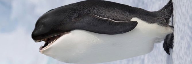 ryno44_'s profile banner image