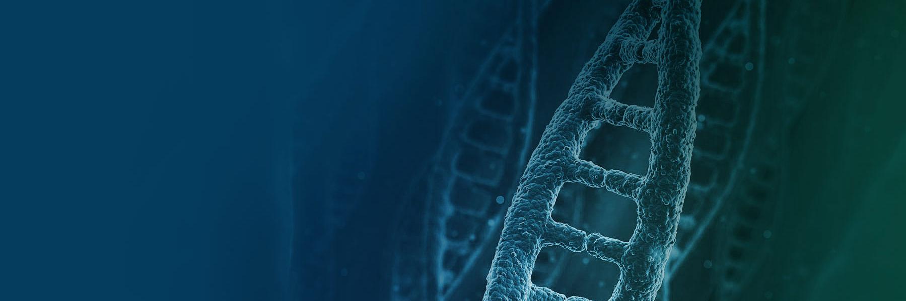 projecthaystack's profile banner image