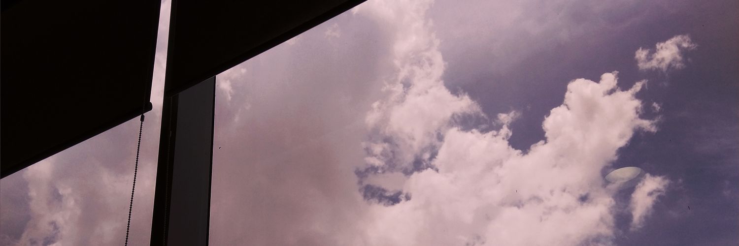 AvianiSF's profile banner image