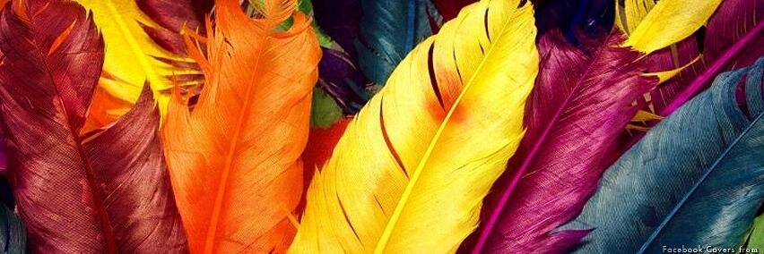 GopuSandeep's profile banner image