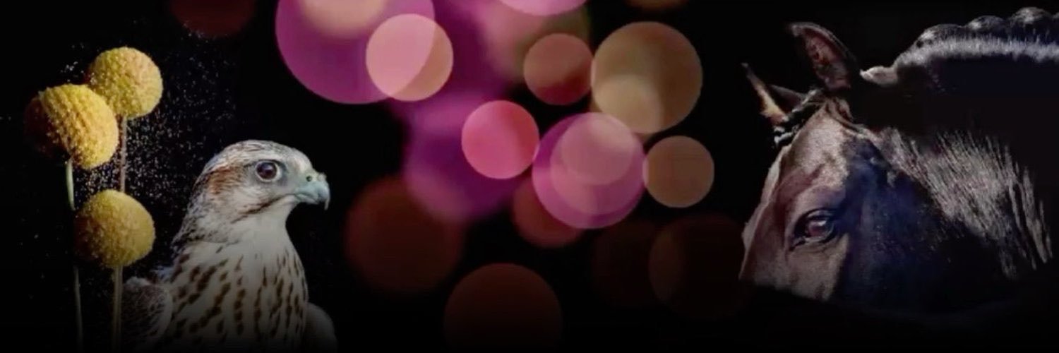 AlOtaibi_5ll's profile banner image