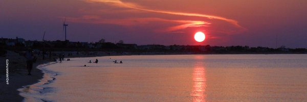 BeachPaper Profile Banner