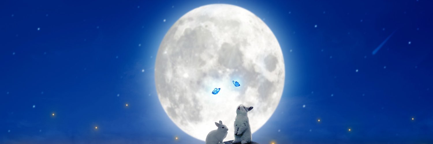 夜霞（四片霞彩）@「後宮の隠し事」発売中 banner