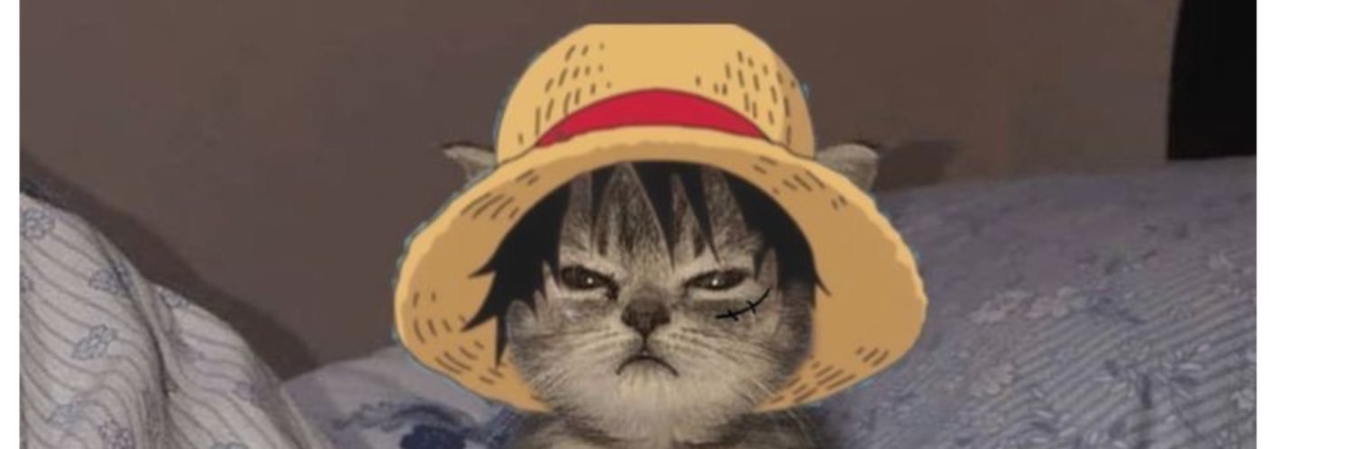 anasmk24's profile banner image