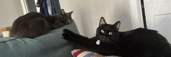 douglaschu_ Profile Banner