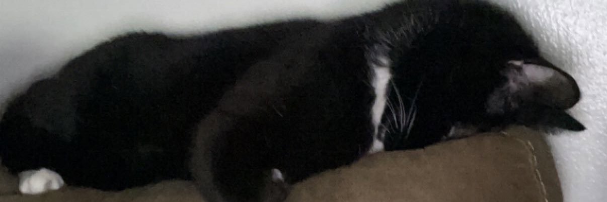 10spencerRoss's profile banner image