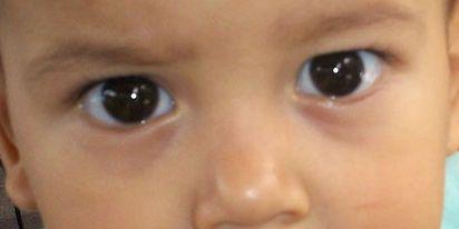 andreina lopez banner