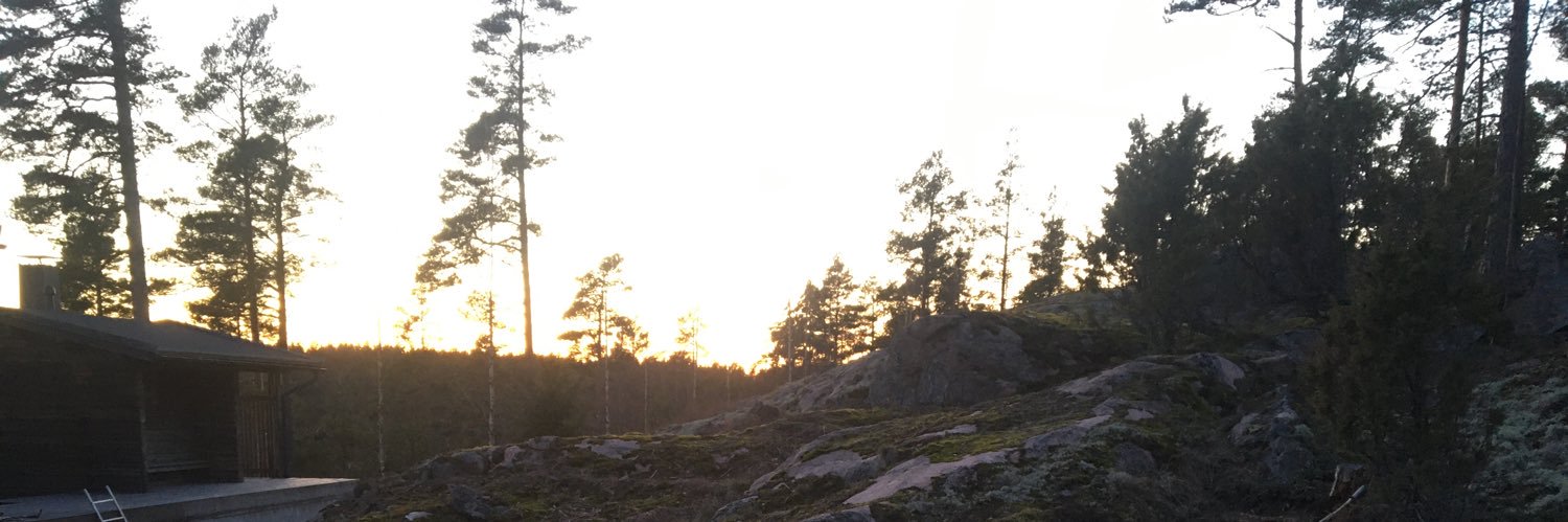 maaritkaltio's profile banner image