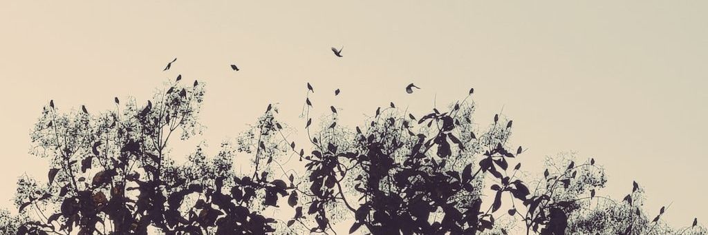 lazyplayer93's profile banner image