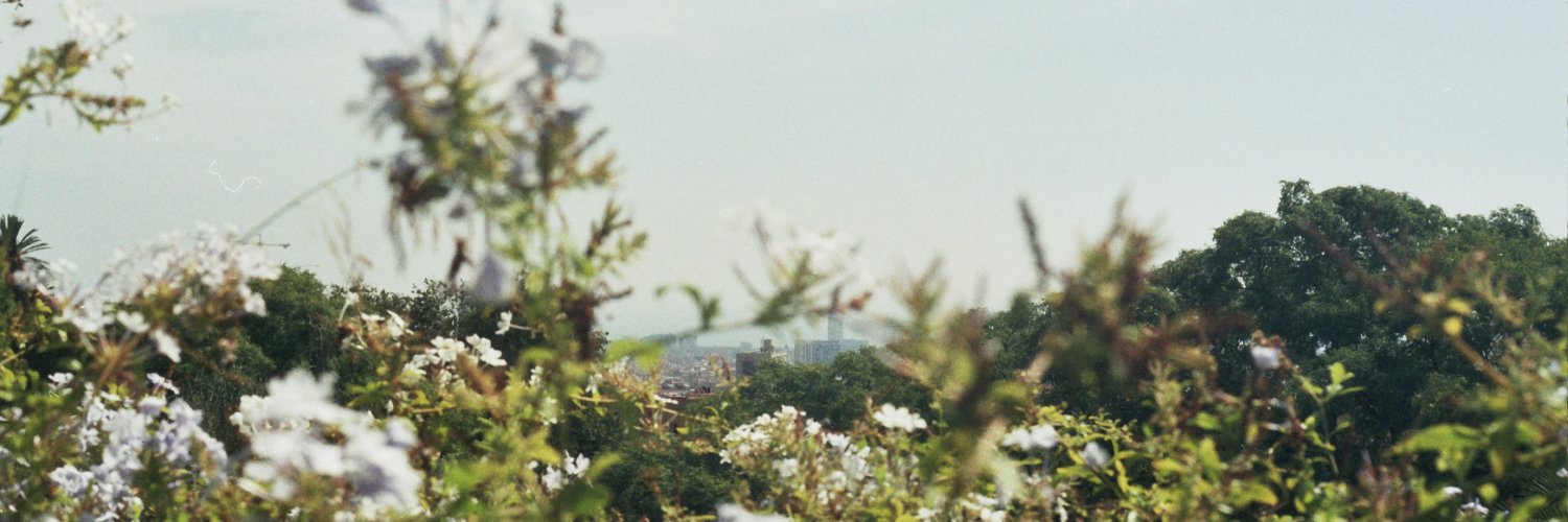 Noel270696's profile banner image