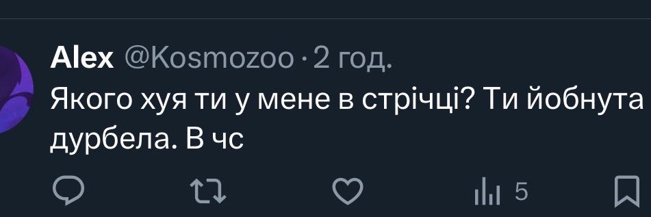 наддніпрянська пташечка's banner