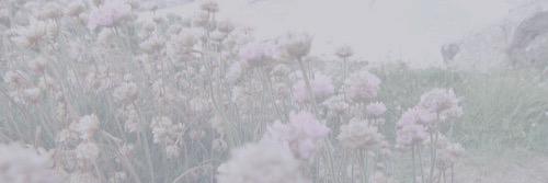 AstuteFervid's profile banner image