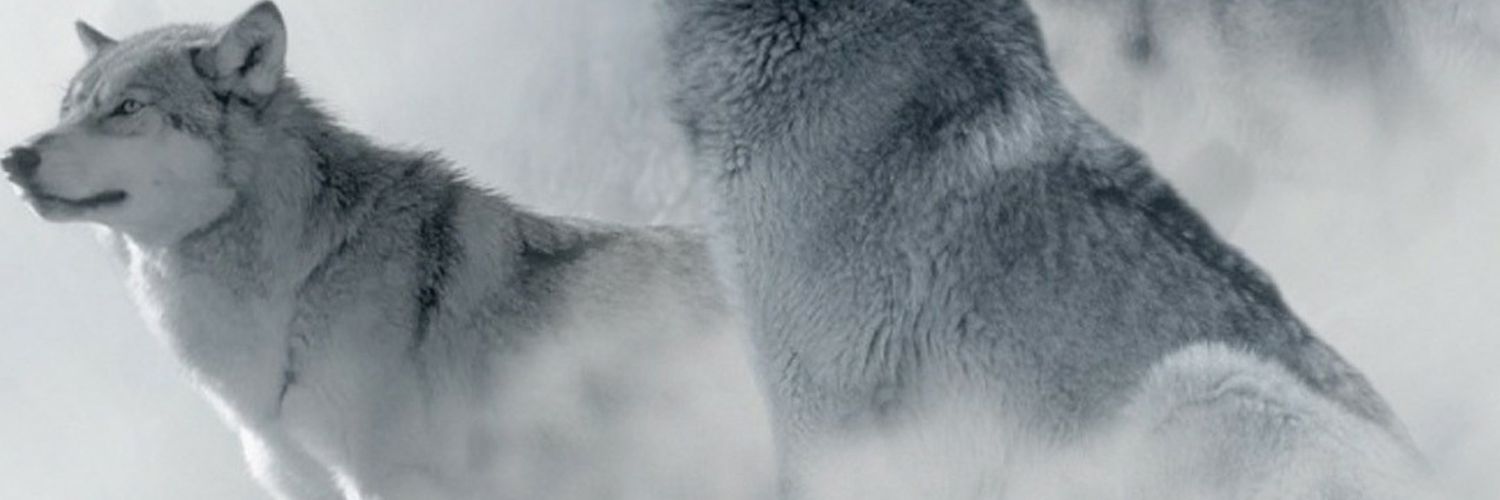 ElDiablo2425's profile banner image