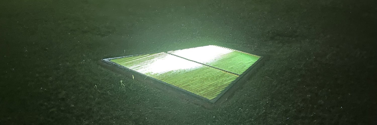 ili dili quili banner