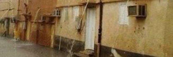 Laloush_ Profile Banner