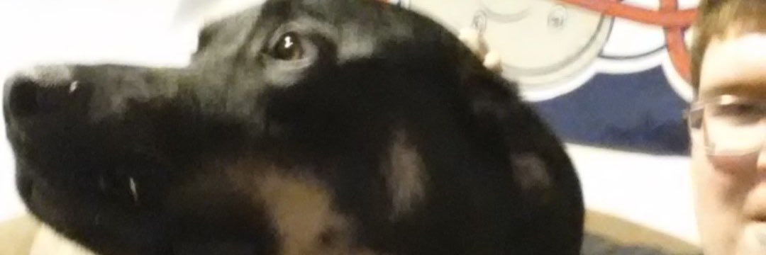 brandon68small's profile banner image