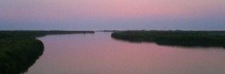 NirSuny's profile banner image