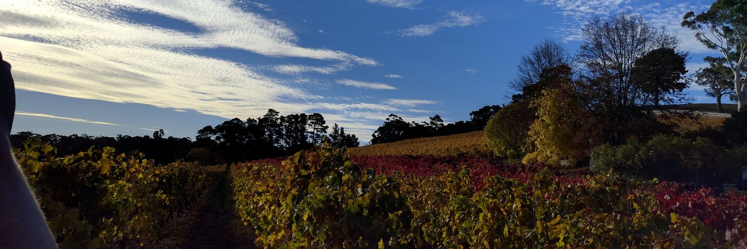 ATS3113CHAN's profile banner image