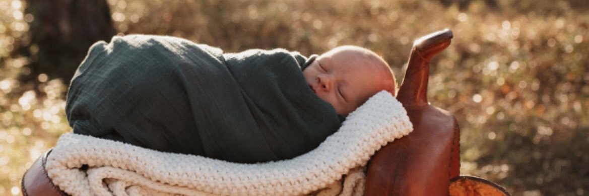Kelly_Erwin_'s profile banner image