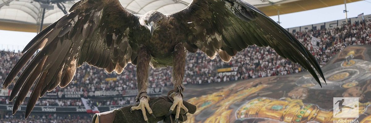 adlerblut1899's profile banner image