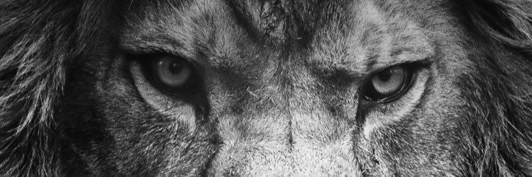 kanmahnn's profile banner image