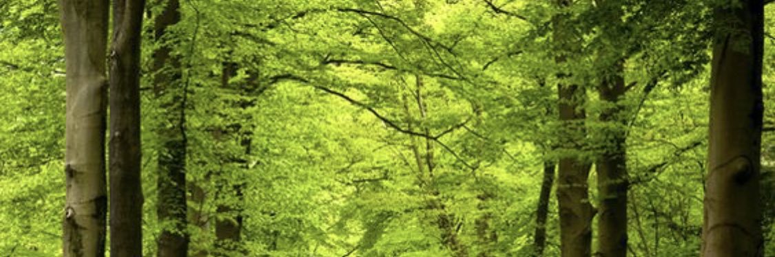 colmbous1's profile banner image