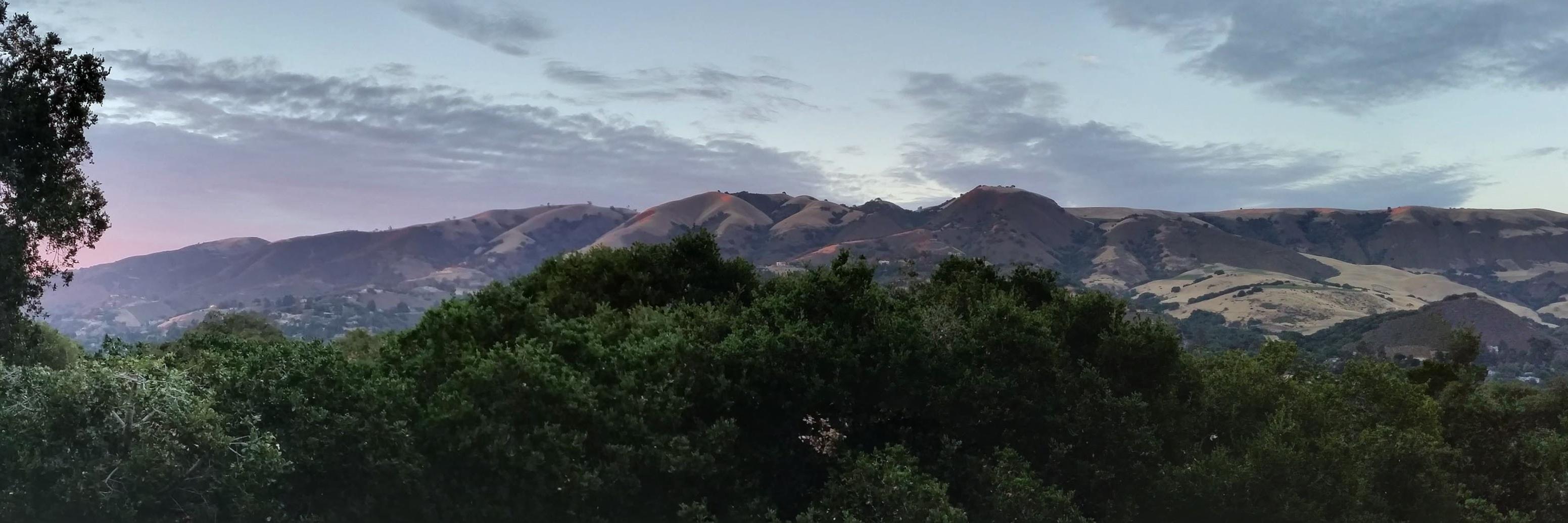 DavidGrebow's profile banner image