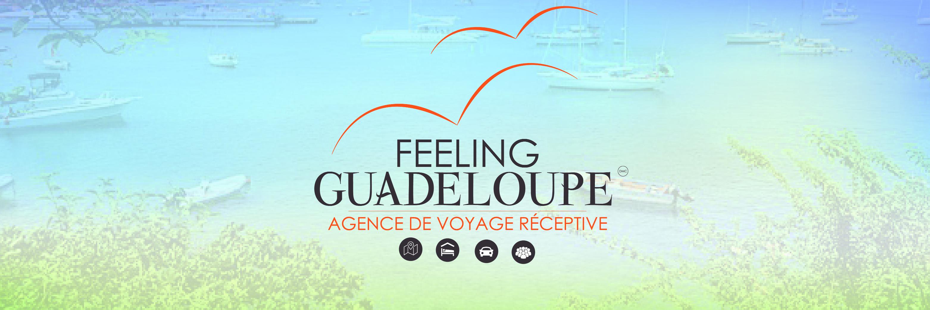 Feeling_Guad's profile banner image