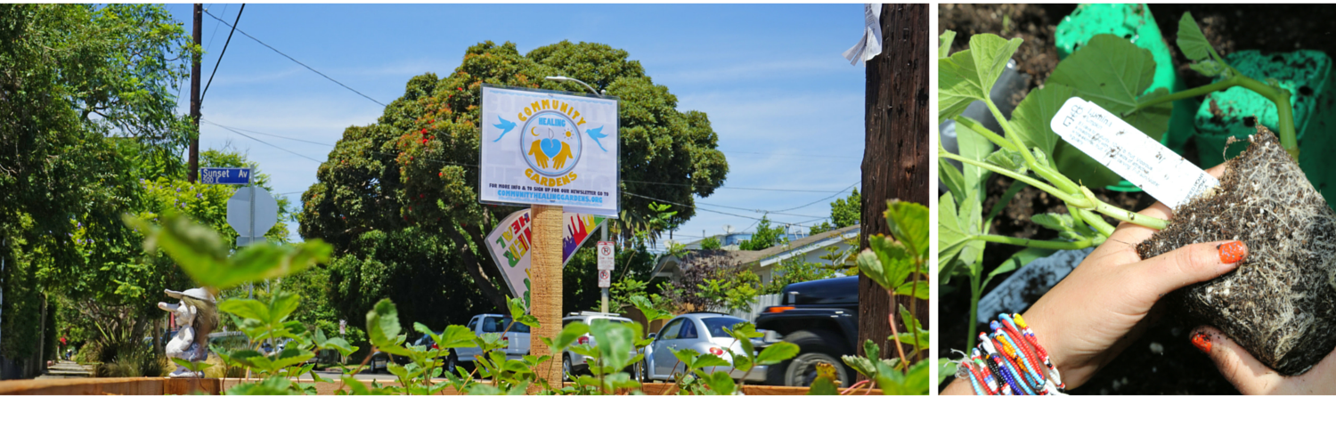 CHealingGardens's profile banner image