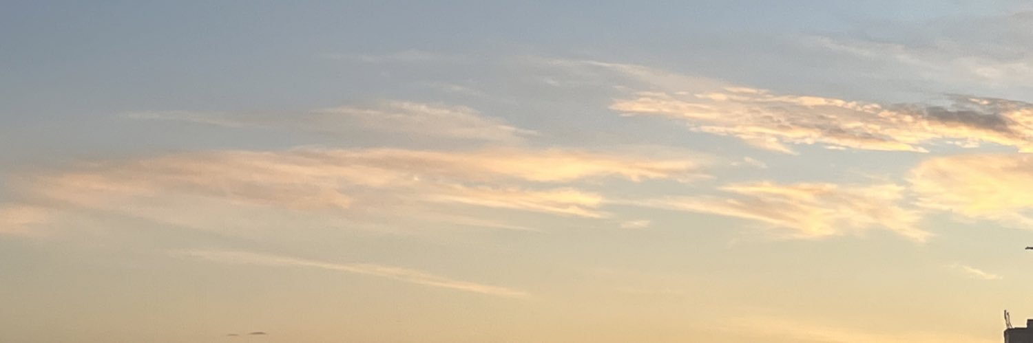 TheBirdOfSoul's profile banner image