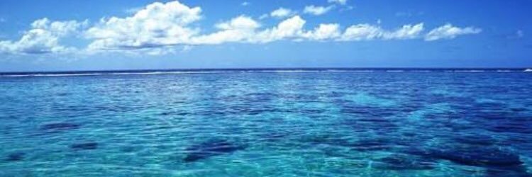 Lu_1107's profile banner image