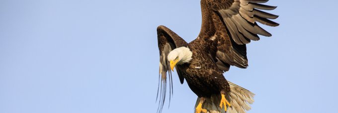 untilliberation's profile banner image