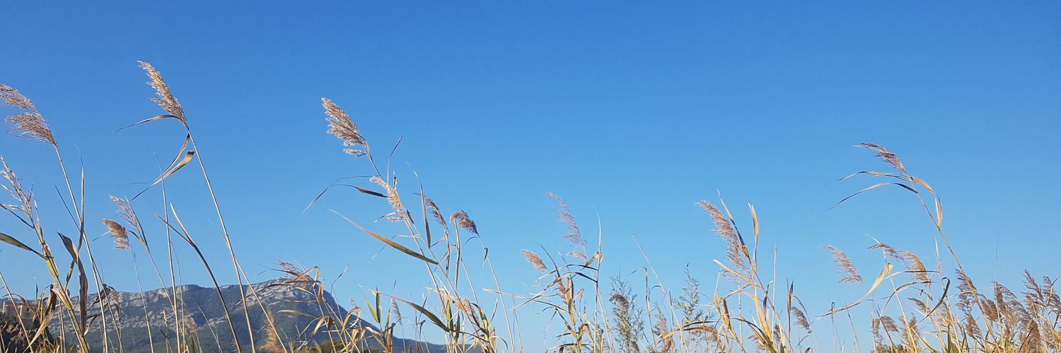 dupre445's profile banner image