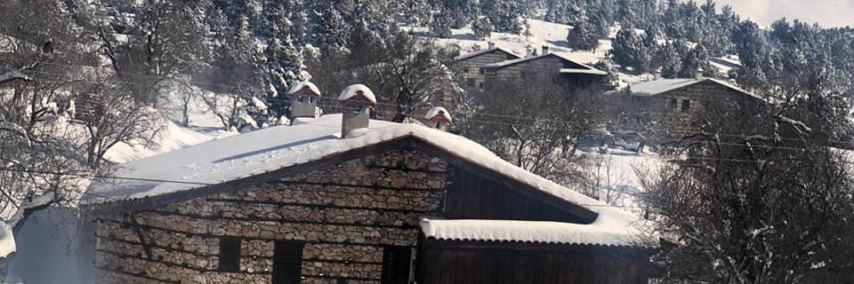 MERAYSE's profile banner image