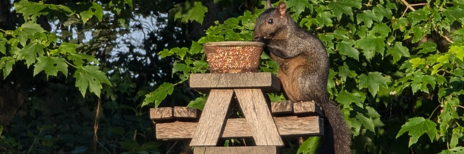 Nicholas 🇺🇲 banner