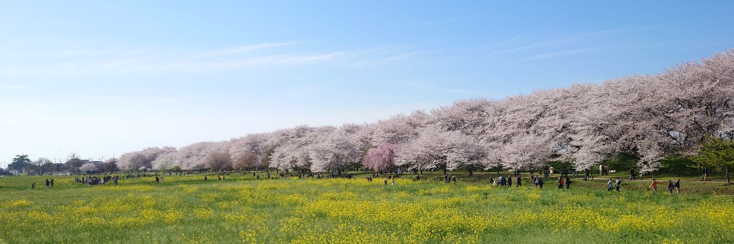msaka71's profile banner image