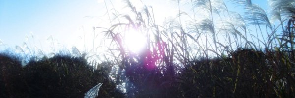 vastcx Profile Banner