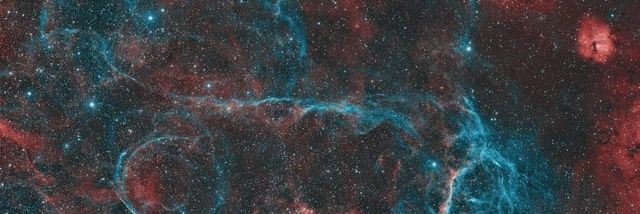 Shark_Killer banner
