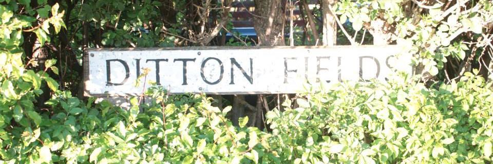 DittonFields's profile banner image