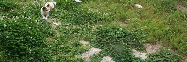 slobbie60 Profile Banner