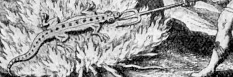 ZachTollen's profile banner image