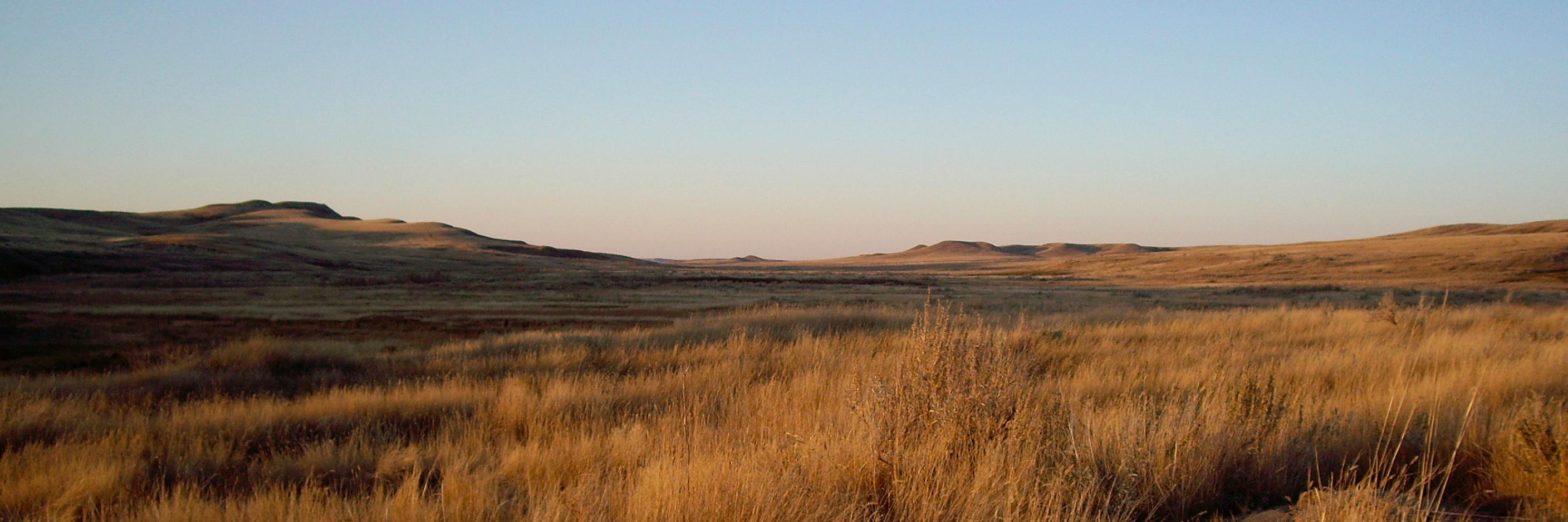 grasslandsnfb's profile banner image