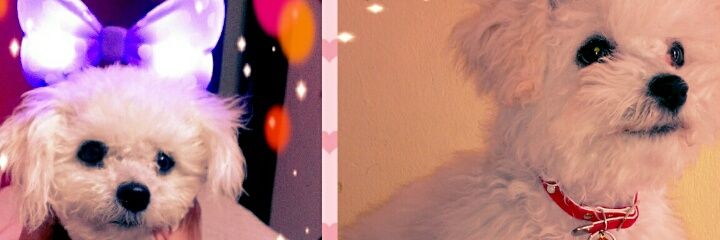 jhey1419's profile banner image