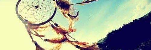 LSannches's profile banner image