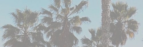 elbalakhd's profile banner image